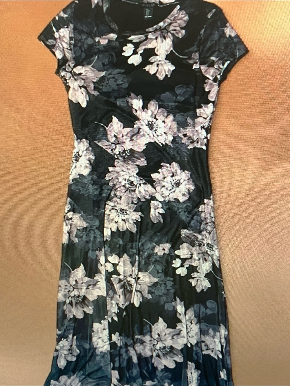 Rachel Zoe Black Maxi Dress with Pale Pink Floral Print